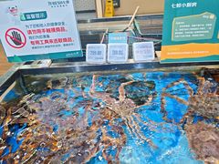 -万向城(裕华路店)
