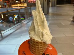 -野人先生现做冰淇淋(北京环宇荟店)