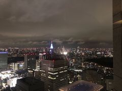 -东京都厅舍