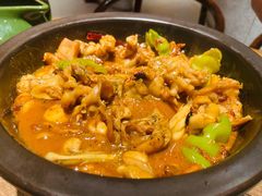 黑松露牛肝菌焖牛蛙-云海肴云南菜(浦江欢乐颂店)