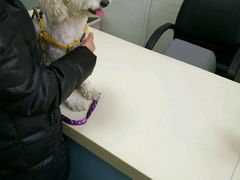 -美联众合动物医院·24h京西诊疗中心