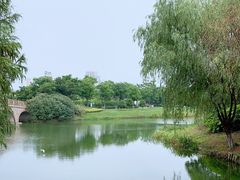 -尚贤河湿地