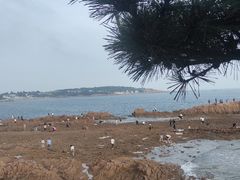 -青岛第二海水浴场