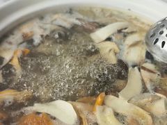 -蘑统田下·野生菌火锅