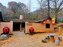 -千年银杏谷文化旅游区