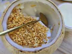 -探窝·竹笙椰子鸡(杨箕店)