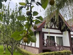 -太阳岛度假酒店