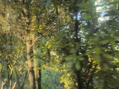 -武当山风景区