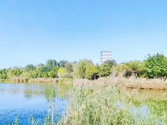 -Supine Bistro溯泮餐厅