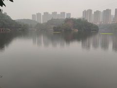 -重庆彩云湖湿地公园