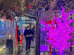 -福苗小骆驼烧烤(莲湖路店)