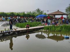 -同銮特种养殖场·龙虾垂钓