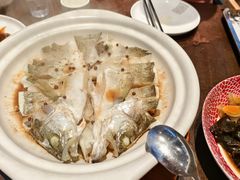 -单家老院·院子里的青岛菜(沙子口店)
