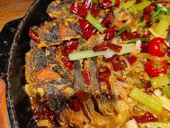 -老板恋上鱼(高新万达店)