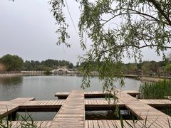 -库木塔格沙漠