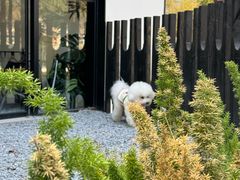 -J Create城市露营咖啡·简餐·宠物(上海动物园店)