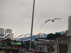 -深圳野生动物园