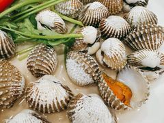 -长平肥姐白粥·海鲜打冷