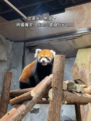 -Zoolung Zoolung动物主题公园(海信广场店)