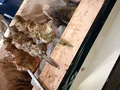 -运德成·天津老味烧烤(广开二马路店)
