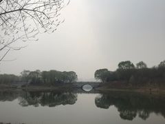 -大兴滨河森林公园