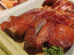 -避风塘(百联东郊店)