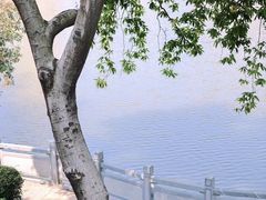 -东山湖公园