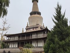 -张掖大佛寺景区