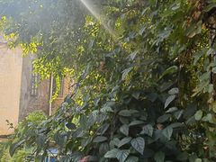 -西关84·History·Art·Cafe