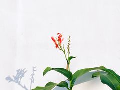 -浙江西湖美术馆