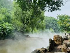 -北京西山国家森林公园