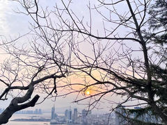 -八大关景区