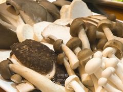 -清真华宇开锅羊肉