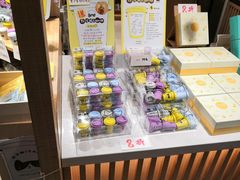 -猫的天空之城概念书店(苏州诚品店)