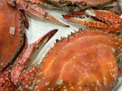 莱州梭子蟹-隐厨·海鲜餐厅(恒通路店)