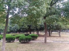 -中南财经政法大学(首义校区)