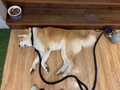 -YCHL Studios健身工作室(市二宫店)