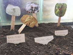 -UCCA Kids 儿童美育