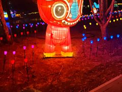 -南宫五洲植物乐园