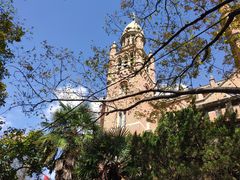 -上海佘山国家森林公园西佘山园