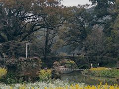 -婺源风景区