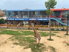 -西霞口神雕山野生动物世界