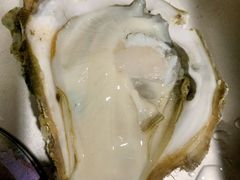 阳江炊蚝-大富蚝乌东哥饭店·石锅鱼杂·柠檬鸭(革新路店)