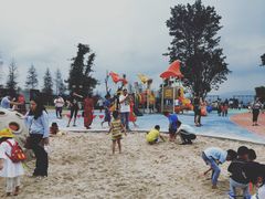 -铁山坪森林公园