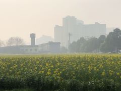 -林记兔头(特色店)