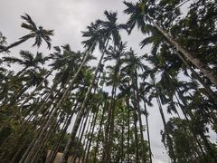 -七仙岭温泉国家森林公园