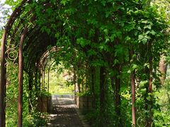 -国家植物园南园