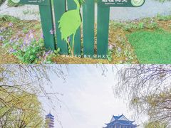 -长兴太湖图影湿地文化园