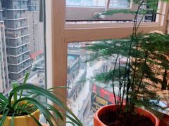 -欣羽摄影工作室(小河缤纷广场店)