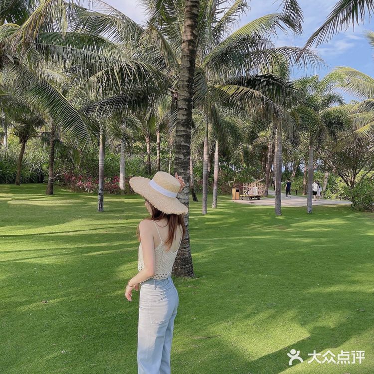 🌴 三亚艾迪逊· 私人沙滩边的椰林也太好拍了